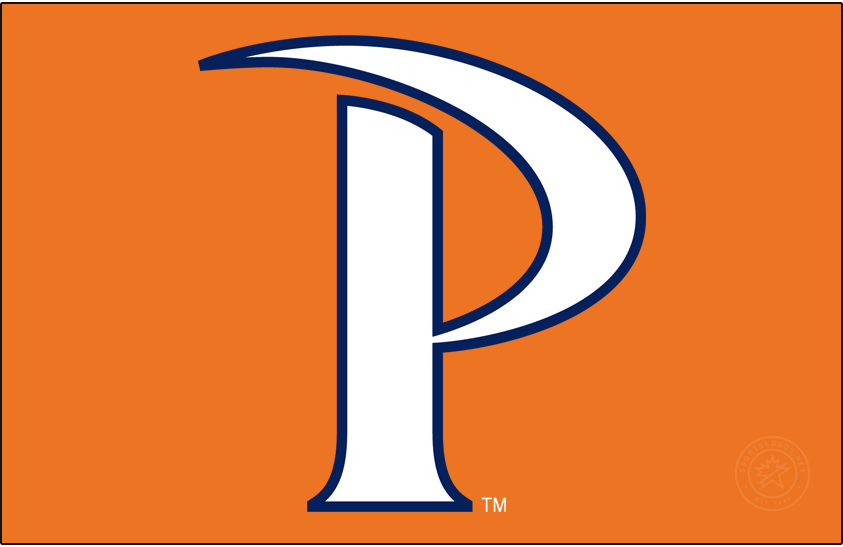 Pepperdine Waves 2012-Pres Alt on Dark Logo diy iron on heat transfer